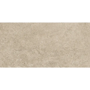 Beige textuur oppervlak met een gemêleerd steenachtige look van Yacht Ash 30x60 rett