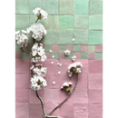 Witte kersenbloesems op bruine takken bij Zelliges Alhambra 10x10 cm lichtgroen