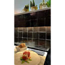 Tuna tartare with microgreens on Zelliges Alhambra Noir 10x10cm plate