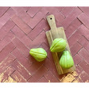Verse chayote naast een houten snijplank met Zelliges Alhambra Bejmat Vieux Rose