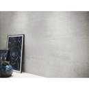 Framed Zermatt Canna Acero 30x90 rett artwork with dark succulent pattern